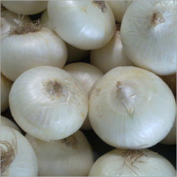 ताज़ी सफेद प्याज