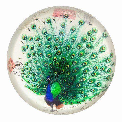 Attractive Design Glass Paper Weight