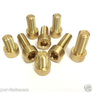 Premium Quality Bronze Fasteners
