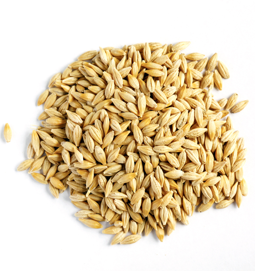 Barley Admixture (%): 1%