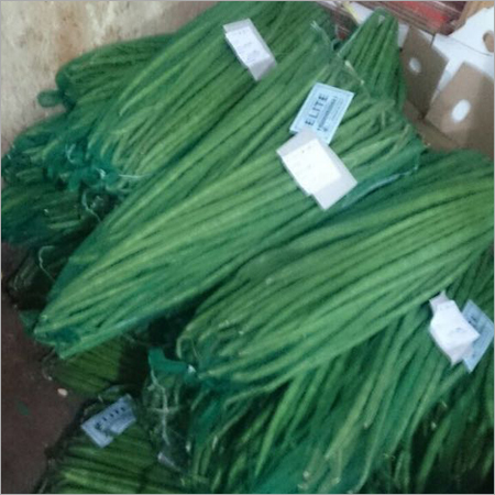 Organic Drumstick - Green Color, Manual Harvesting, Mesh Bag Packaging | Supports Bone Health, Cardiovascular System, and Diabetes Management