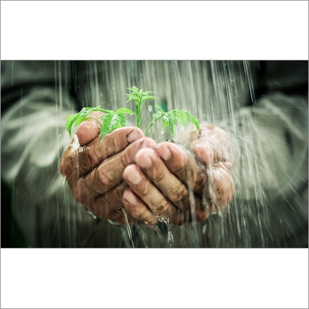 Rain Water Harvesting