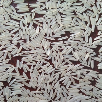 1121 White Sella Basmati Rice Admixture (%): 1%