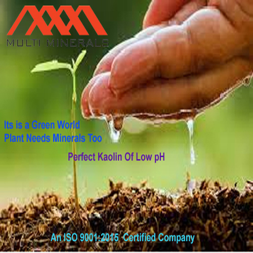 Fertilizer Grade Kaolin Powder - China Clay, 25kg/50kg Packaging Size, White Color, Micronized Fine Powder - Ideal For Fertilizers & Pesticides Manufacturing