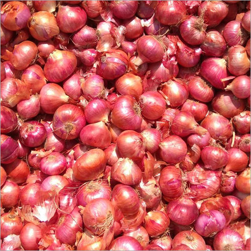 ताजे लाल प्याज