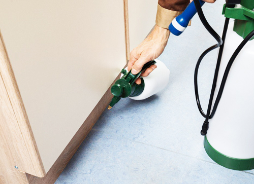 सामान्य कीट नियंत्रण