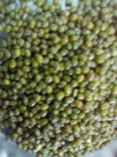 हरी बाजरे