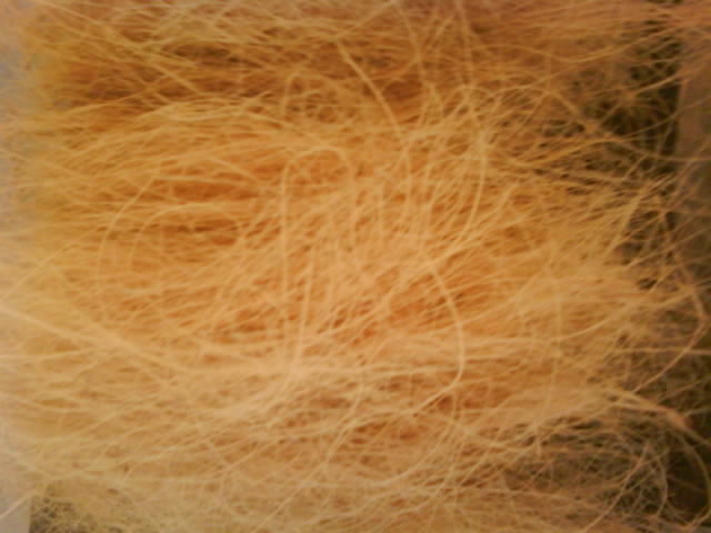 Coconut Fiber - Coconut Husk, Variable Fiber Length, Brown Color, 10-12% Moisture Content, Ph Level 6.0-7.0 | Biodegradable, Sustainable, Lightweight, Versatile, Soil Improvement, Water Retention