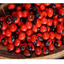 ABRUS PRECATORIUS - Oval Variable Size, Red Color | High Quality Pure Seeds, Naturally Sourced, Versatile Uses, Ethically Export Ready