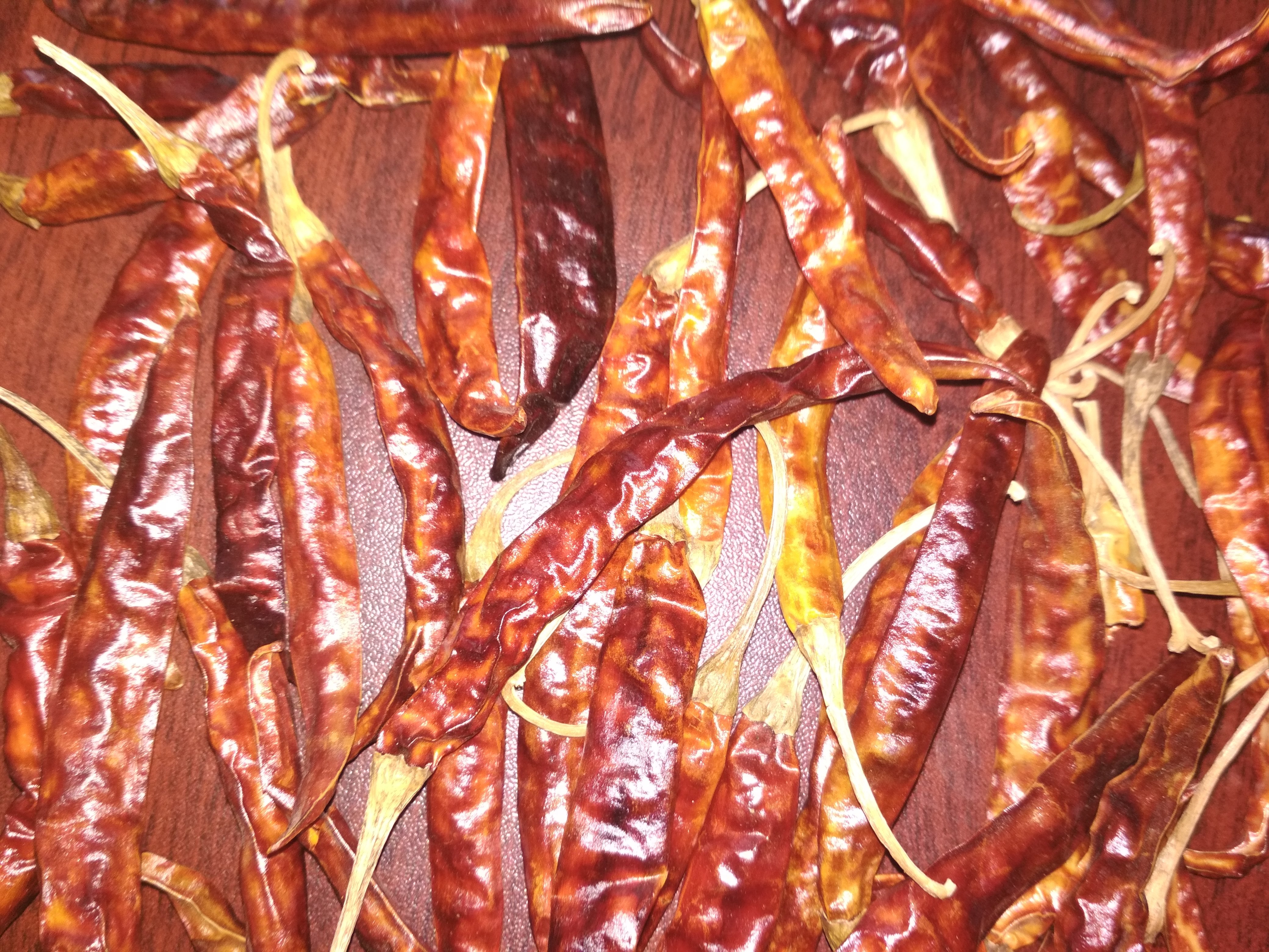 Teja Red Chilli