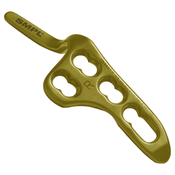 हंसली हुक प्लेट