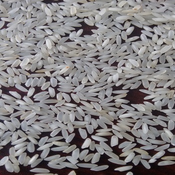 Sona Masoori Rice - White Grains, 4.55mm To 5mm Size | 1% Admixture, 90% Purity, Dried, 5% Broken Ratio, 13% Moisture