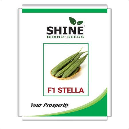 Ridge Gourd Seeds - 10.50 Grams, F1 Stella Hybrid Variety With Medium Fruit Size, Attractive Green Color, High Yielding, Maturity in 45 to 50 Days
