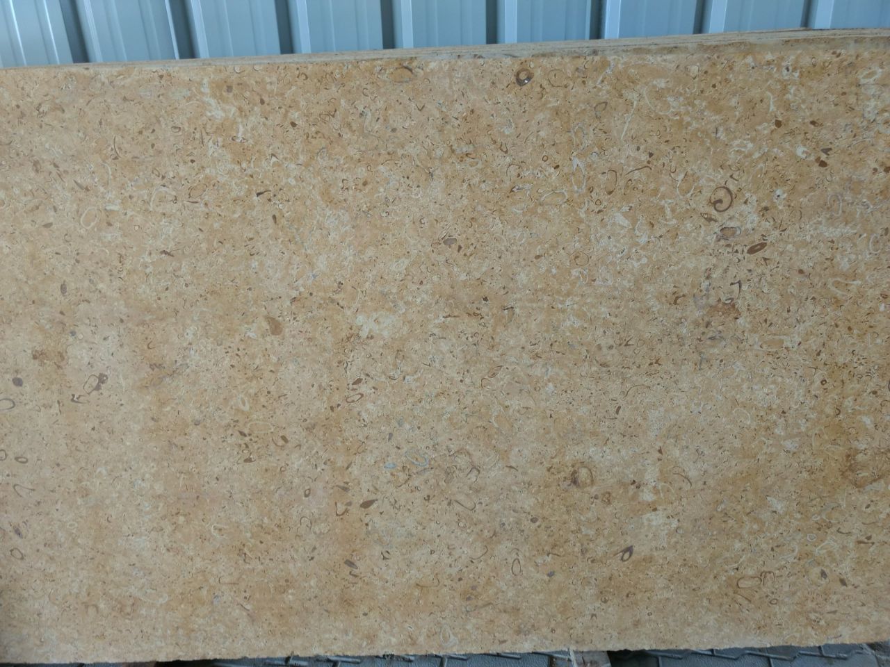 Yellow Fossil