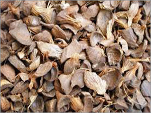 पाम नट कर्नेल शेल