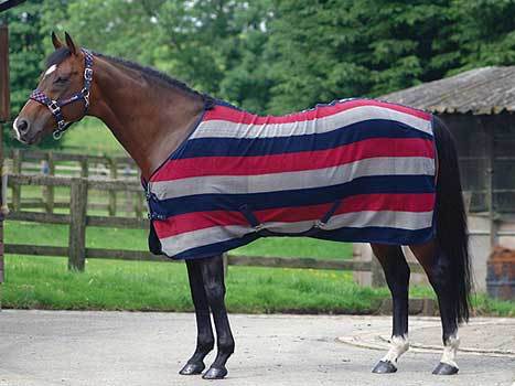 All Colors Availabe Horse Fleece Rugs