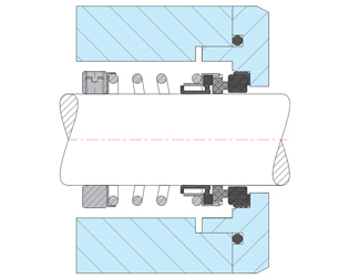 Rubber Bellow Mechanical Seal