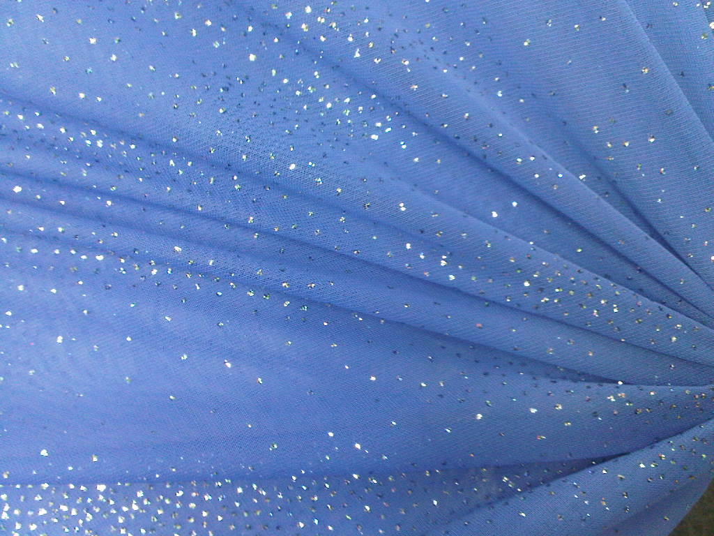 Glitter Mesh Fabric Width: 54 Inch (In)