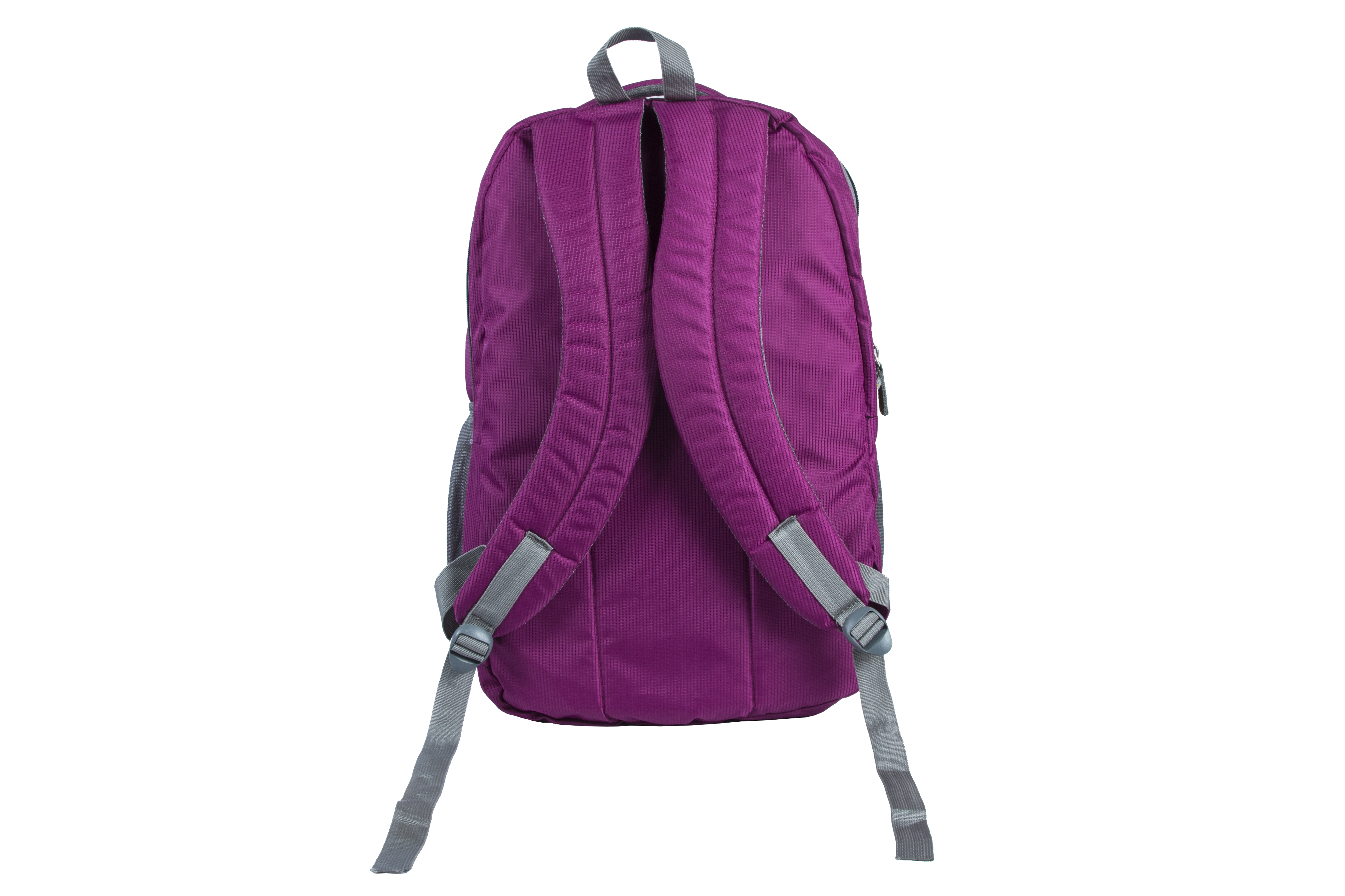Smart Laptop Backpacks - Rexin 18x12x6 Inches Purple | Durable, Spacious, Padded Straps, Zipper Compartments, Bottle Holder