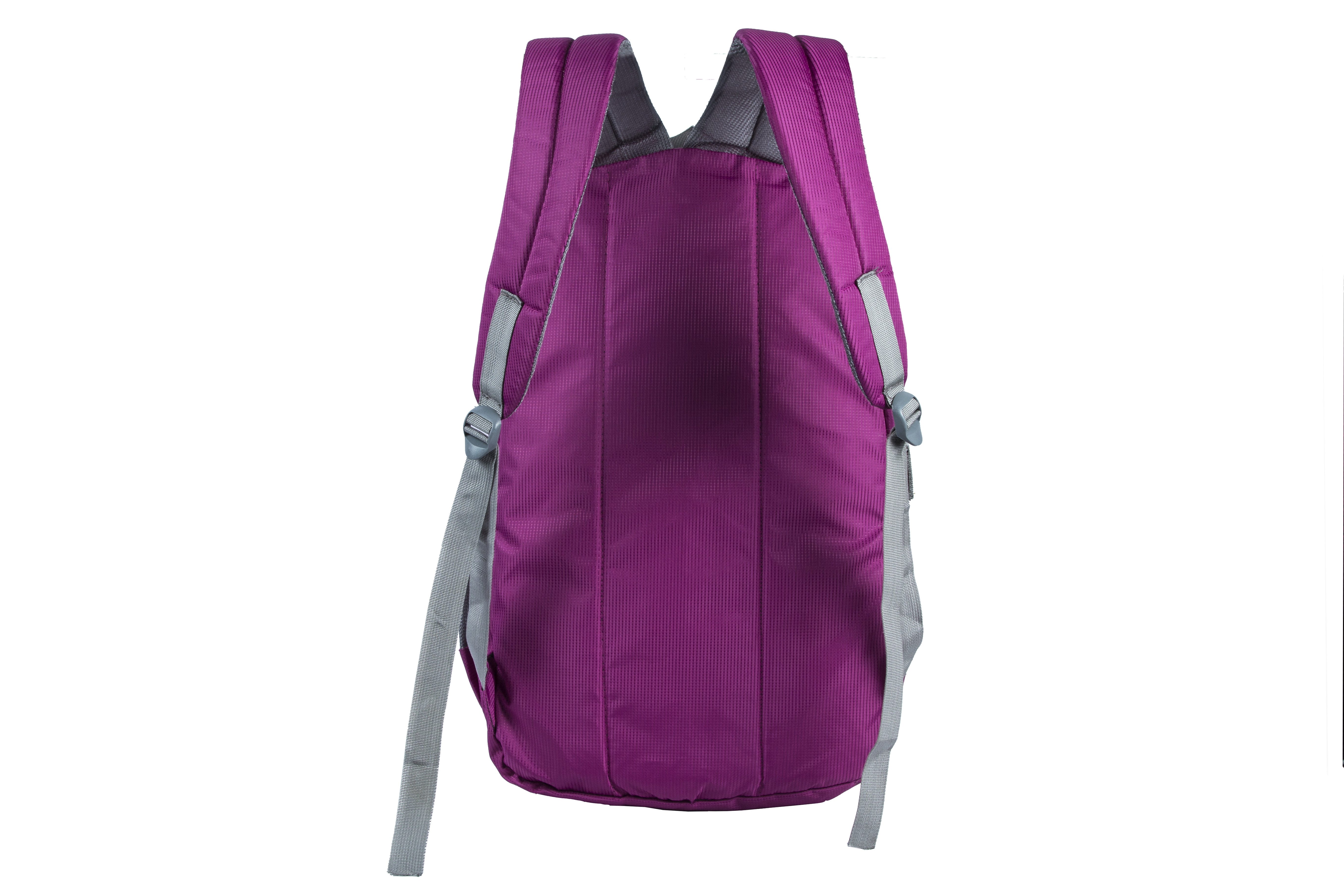 Smart Laptop Backpacks - Rexin 18x12x6 Inches Purple | Durable, Spacious, Padded Straps, Zipper Compartments, Bottle Holder