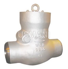 Brass Pressure Seal Check Valves
