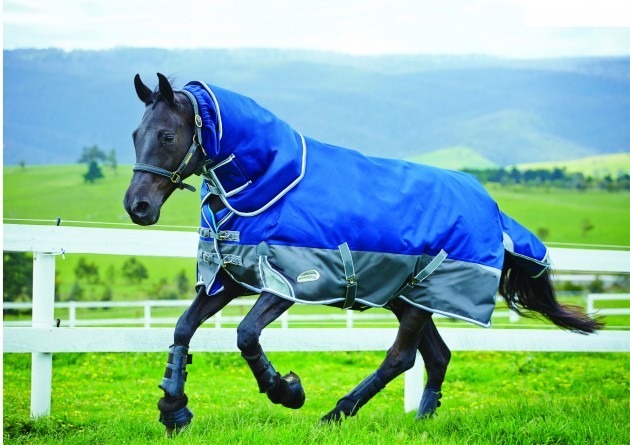 All Colors Available Horse Turnout Or Winter Rugs