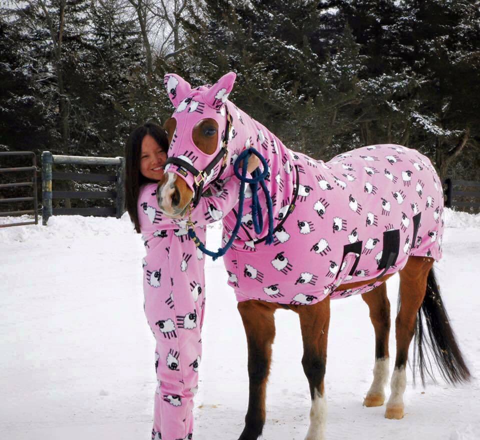 All Colors Available Horse Turnout Or Winter Rugs