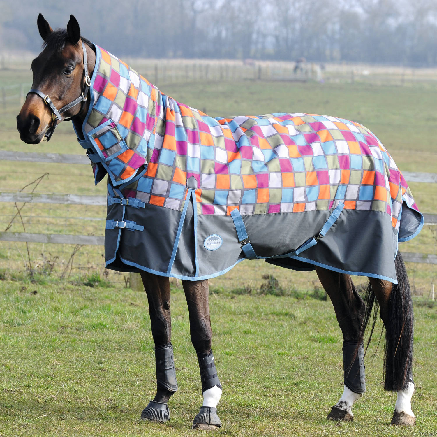 All Colors Available Horse Turnout Or Winter Rugs