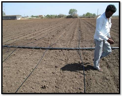 सक्सेस स्टोरी 1