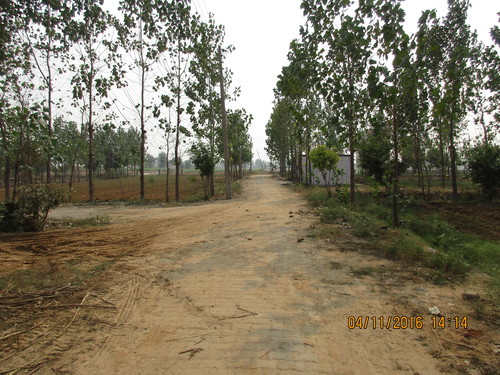 Katyani Township Ph-III JASANA