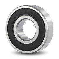 6202 Ball Bearings