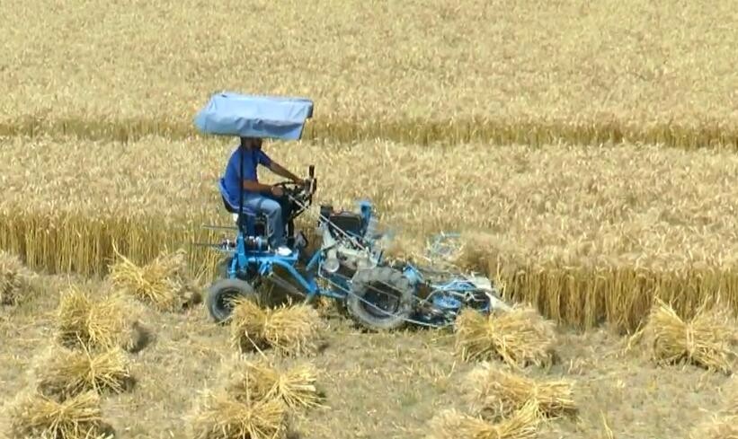 Bcs Reaper-binder - 10 Hp Lombardini Diesel Engine, 1 Acre Per Hour Output | Gear Drive, Electric Start, Adjustable Cutting Height