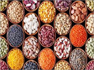 जैविक दालें