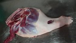 Red & White Pork Leg Meat