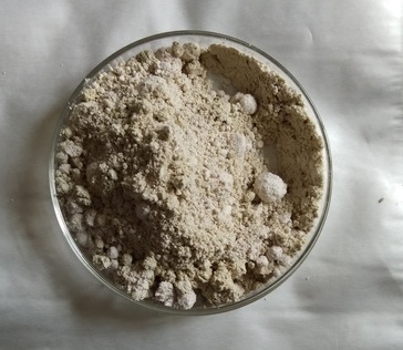 Rhizobium - Talcum Based Powder with CFU 5 x 10^7/gm, Light Brown, 98-100% Purity Bio-Fertilizer for Legumes and Oil Crops