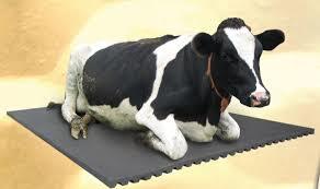 Black Dairy Cow Mats