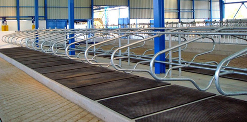 फार्म मैट