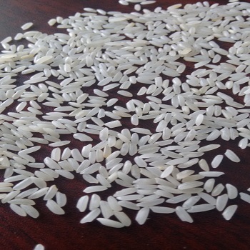 Ponni Rice - 5mm Size, White Color | 1% Admixture, 5% Broken Ratio, 90% Purity, 13% Moisture, Common Cultivation, Dried Style