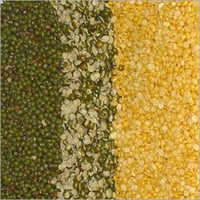 मूंग की दाल