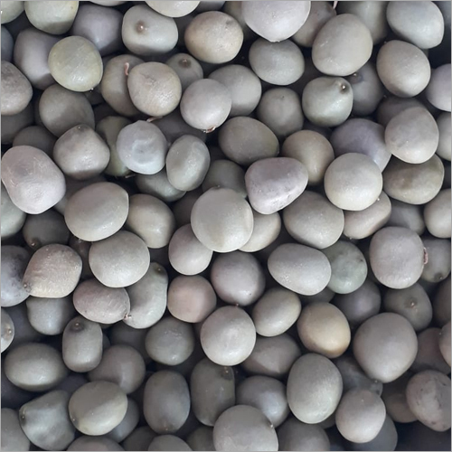 कैसाल्पिनिया क्रिस्टा