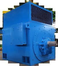 स्क्विरल केज और स्लिप रिंग इंडक्शन मोटर्स CACA एनक्लोजर में