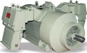 फुट माउंटेड इंडक्शन मोटर
