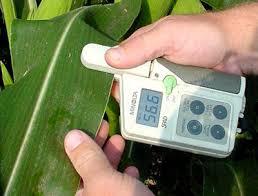 Chlorophyll Meter Accuracy: 2 Mm