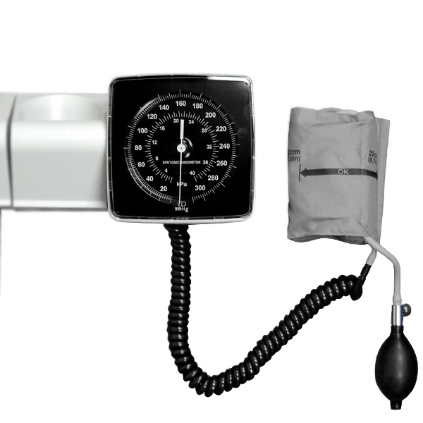 Wall Mount Diagnostic Set