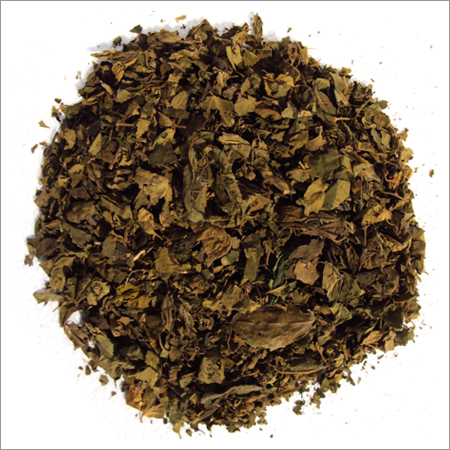 Gymnema Sylvestre Extract