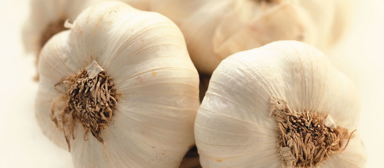 Round Fresh Garlic