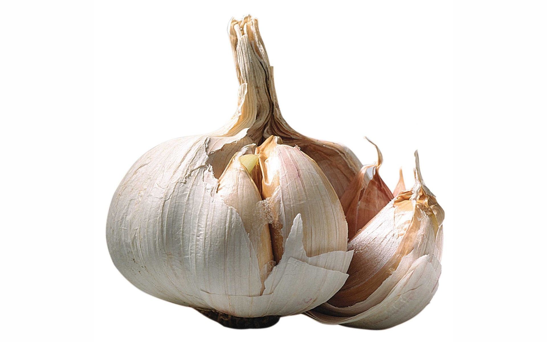 Round Fresh Garlic