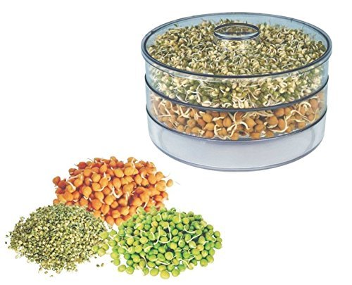 Pp Sprout Plastic Container