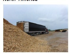 Biomass - Diameter: 6/8 Mm, Length: 10-30 Mm, Calorific Value: 4300 Kcal/kg | Easy Availability, Cost-effective, Environment Friendly