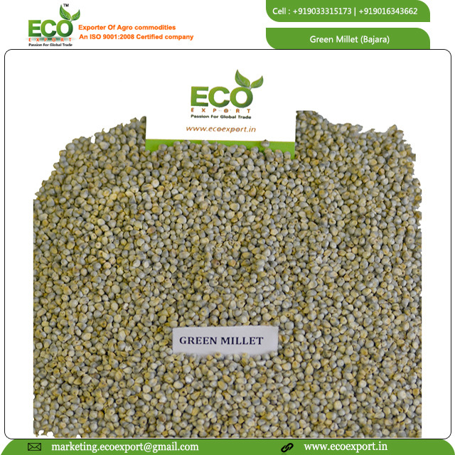 Millet - Moisture 12%, Protein 9%, Green Color | High Nutritional Value, Premium Quality For Food And Feed